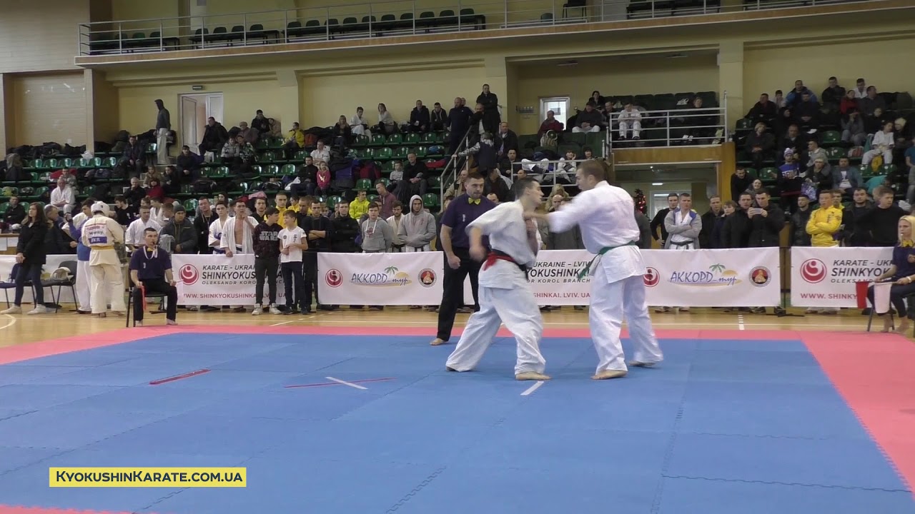 WKO Ukraine Cup 2017, 1/4 -85 Tymets Alexandr (Khemlnitsky, aka) - Yantsevich Alexey (Krivoy Rog)