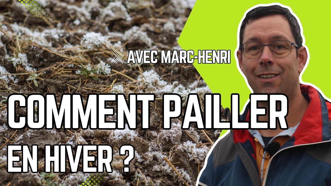 COMMENT PAILLER son POTAGER en HIVER ? (Feuilles, Cartons et Compost)