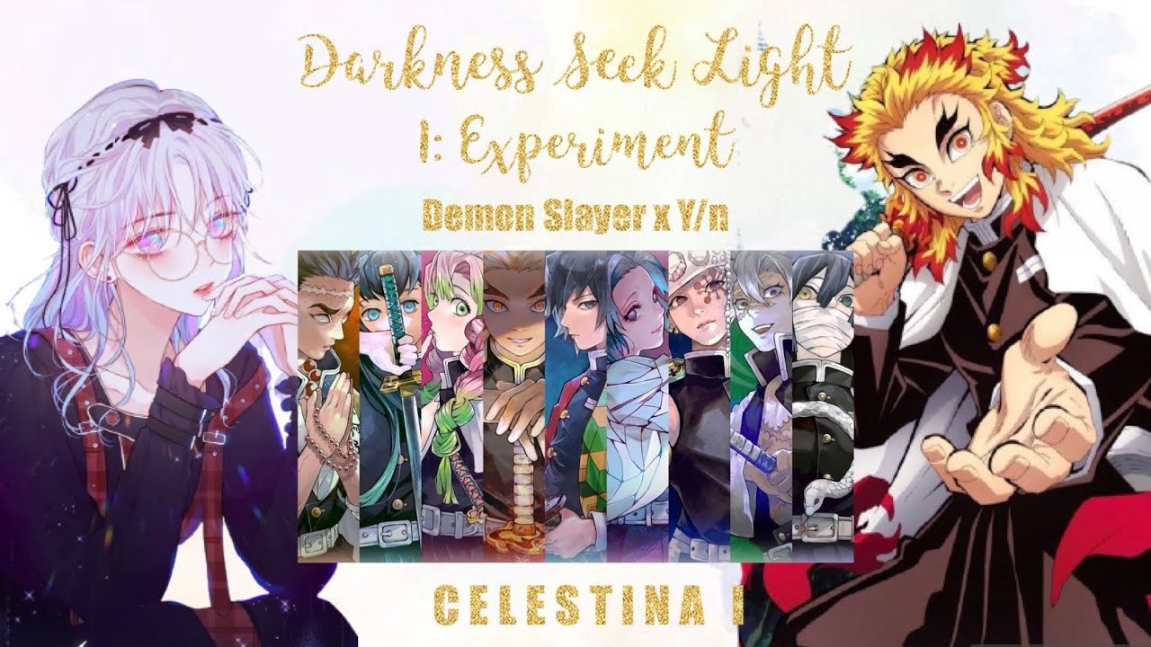 Darkness Seek Light (Demon Slayer x Y/n) Text Story 1