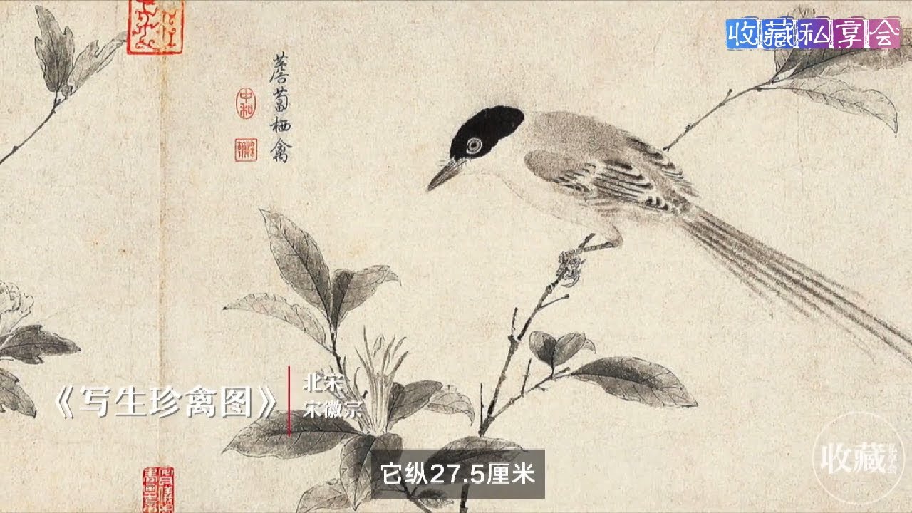 石渠宝笈EP18：宋徽宗的《写生珍禽图》