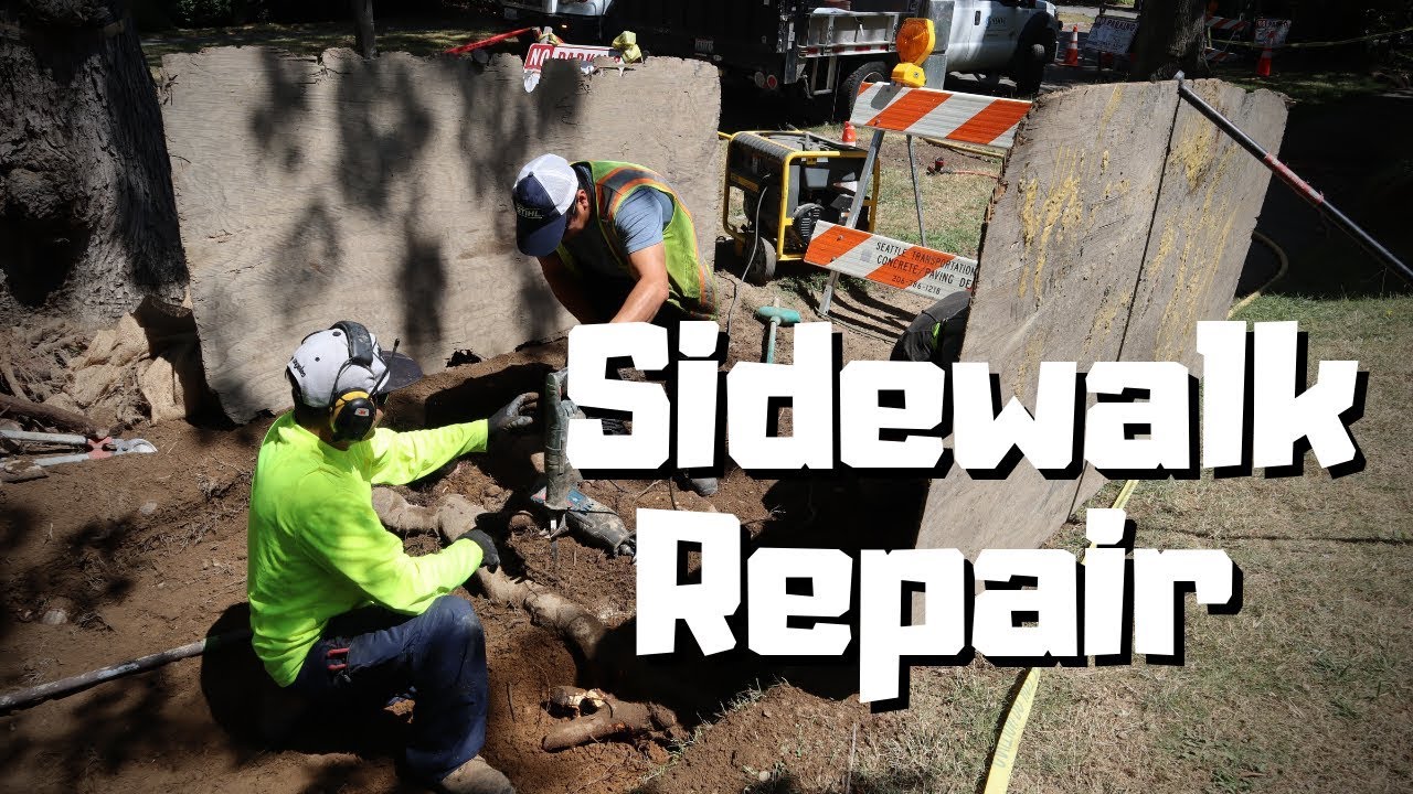 Tree Roots vs Sidewalks - Sidewalk Repair Project in Seattle, Washington