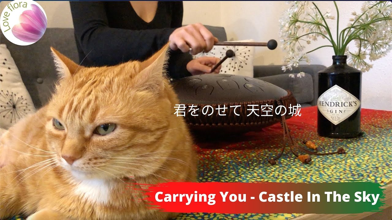 Carrying You - 君をのせて 天空の城 | Castle In The Sky | Tank Drum/ Steel Tongue Drum covred with tabs