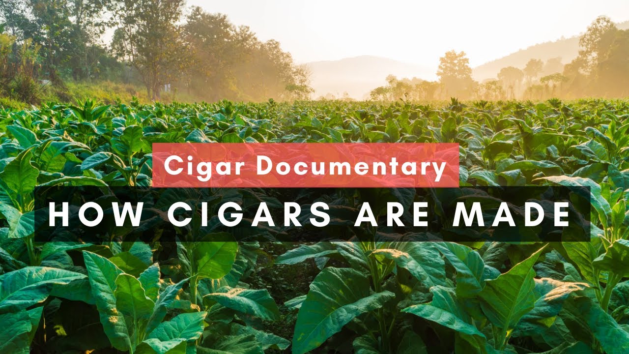 Cigar Documentary: How Cigars Are Made