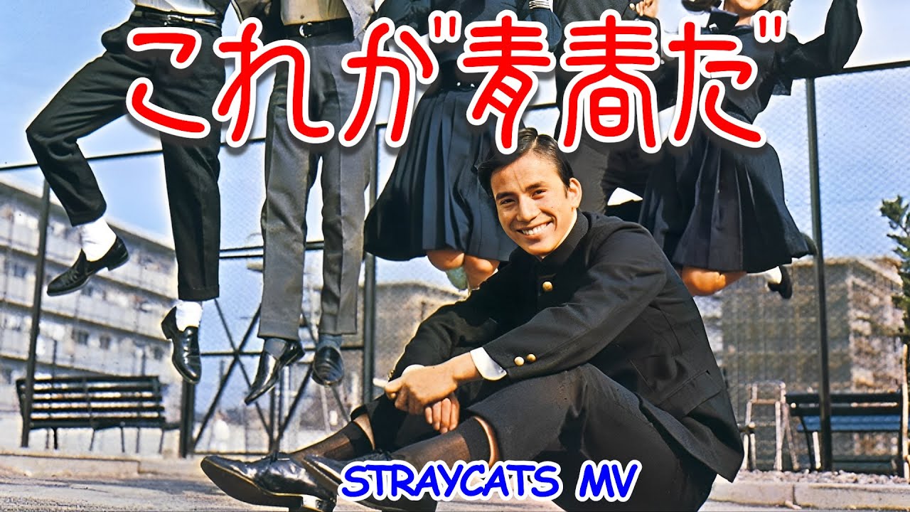 [MV] これが青春だ
