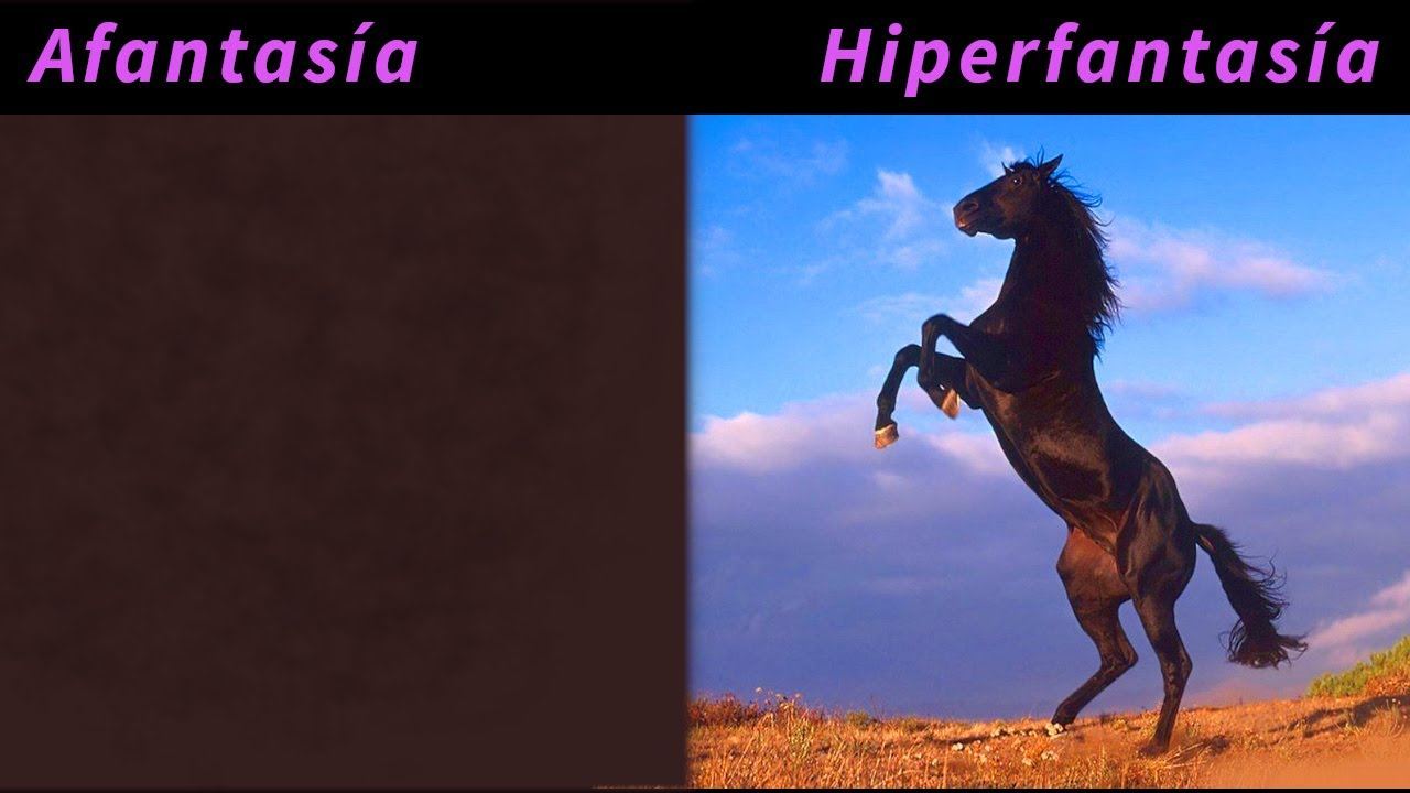 TEST DE AFANTAS&Iacute;A / HIPERFANTAS&Iacute;A &iquest;C&Oacute;MO SE VE TU IMAGINACI&Oacute;N?