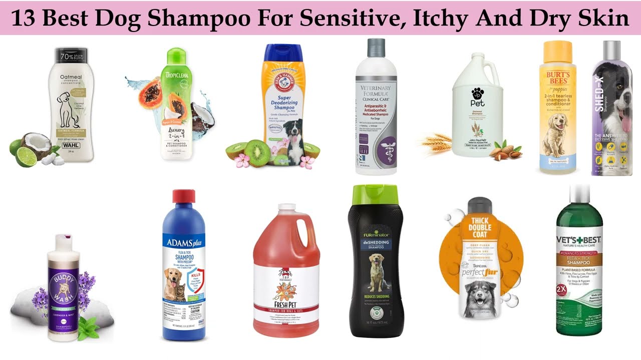 ✅ 13 Best Dog Shampoo For Sensitive, Itchy And Dry Skin | Best Dog Shampoo for Buying Guide 💥