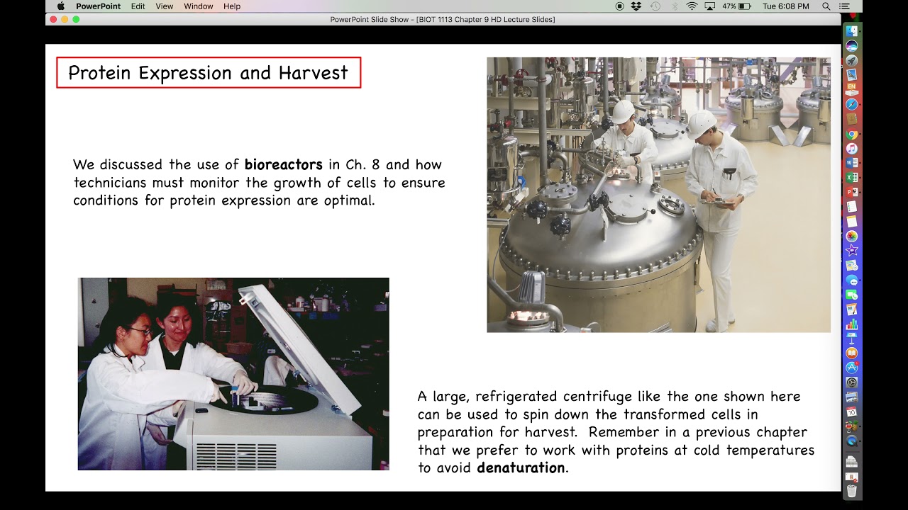 Intro to Biotechnology - Chapter 9 - Part 1 - Introduction to Biomanufacturing of Proteins