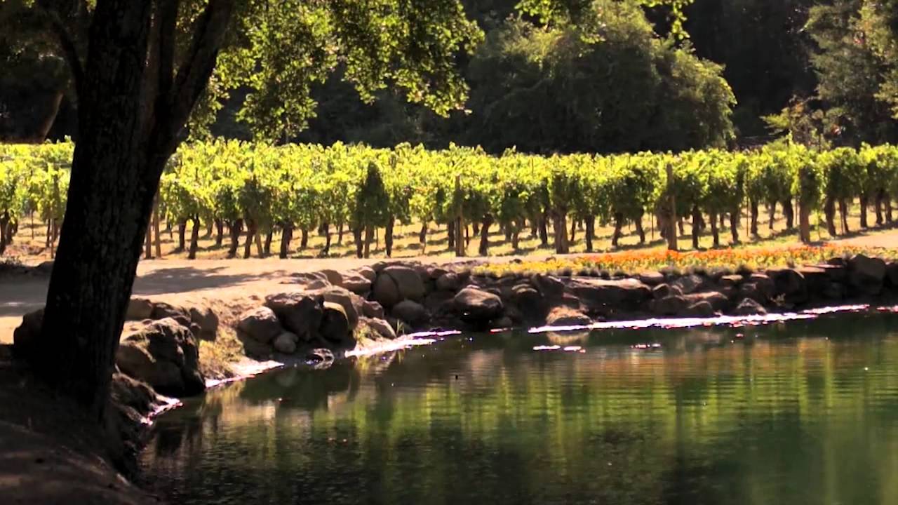 Napa Valley Rocks - FULL PRESENTATION 20:26