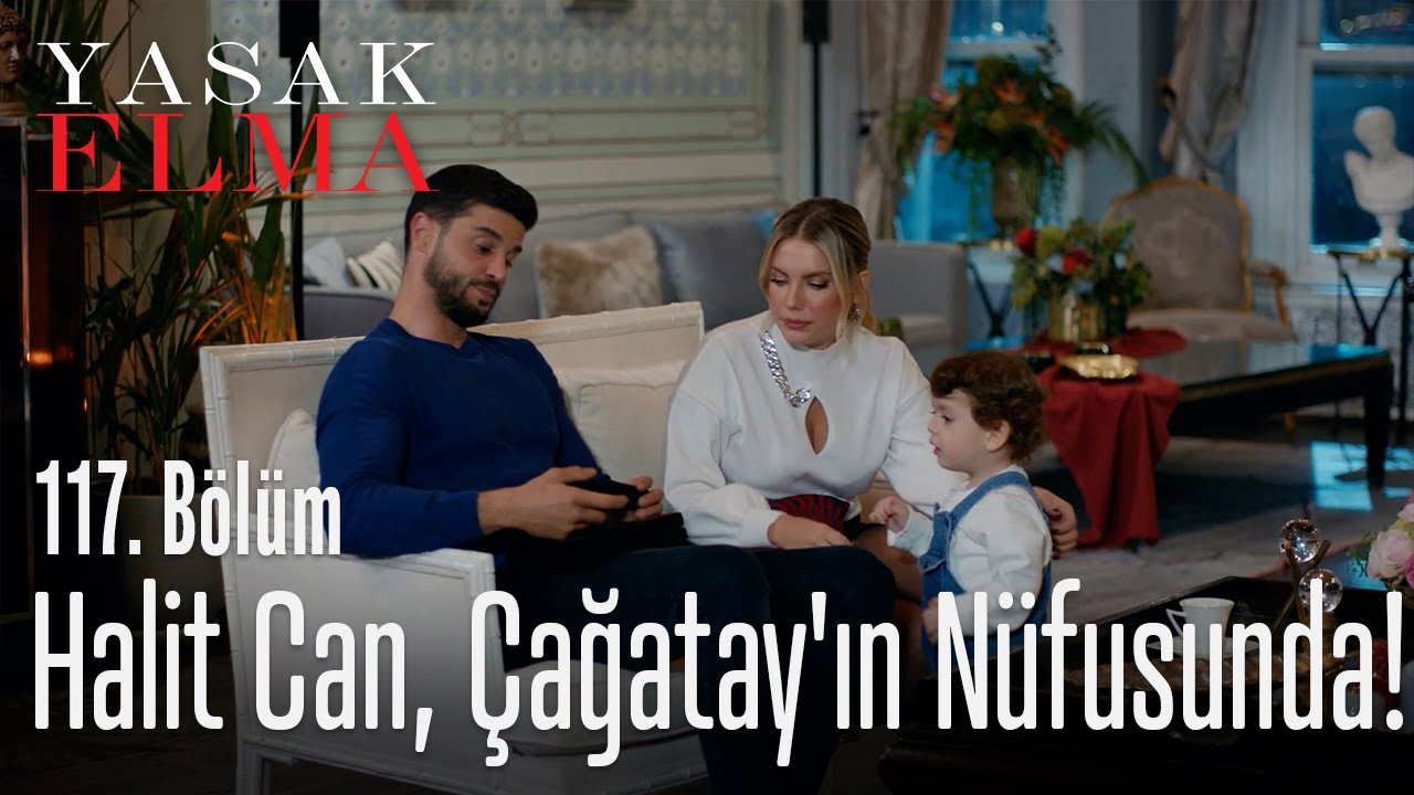 Halit Can artık Çağatay'ın nüfusunda! - Yasak Elma 117. Bölüm