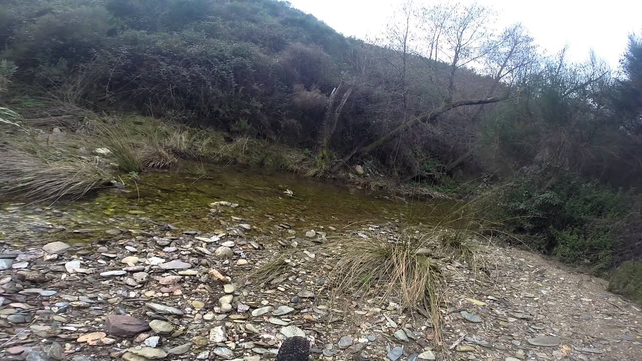 Paterna del Campo
