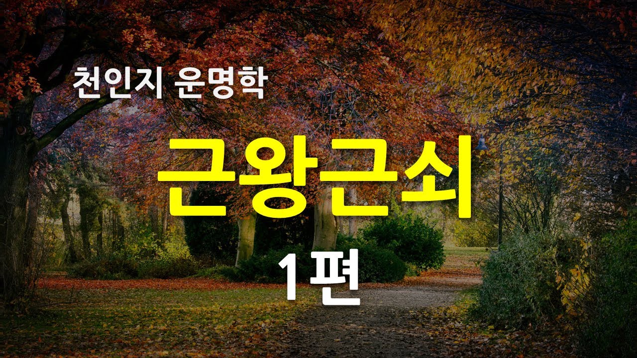 [천인지운명학] 근왕 근쇠 1편