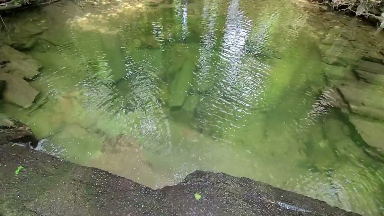 Peaceful Pool with Relaxing Water Sounds