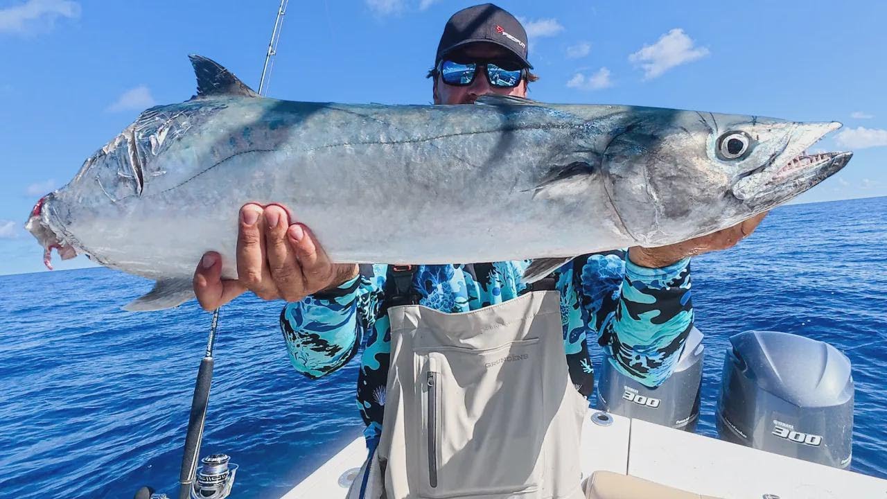 Pêche aux Épaves d’Islamorada avec des vifs : de la prise à l’assiette – poisson en conserve