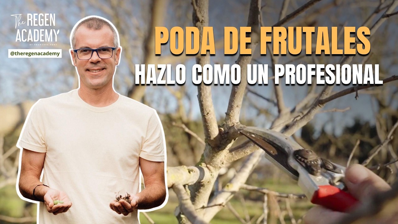 PODA DE FRUTALES: HAZLO COMO UN PROFESIONAL