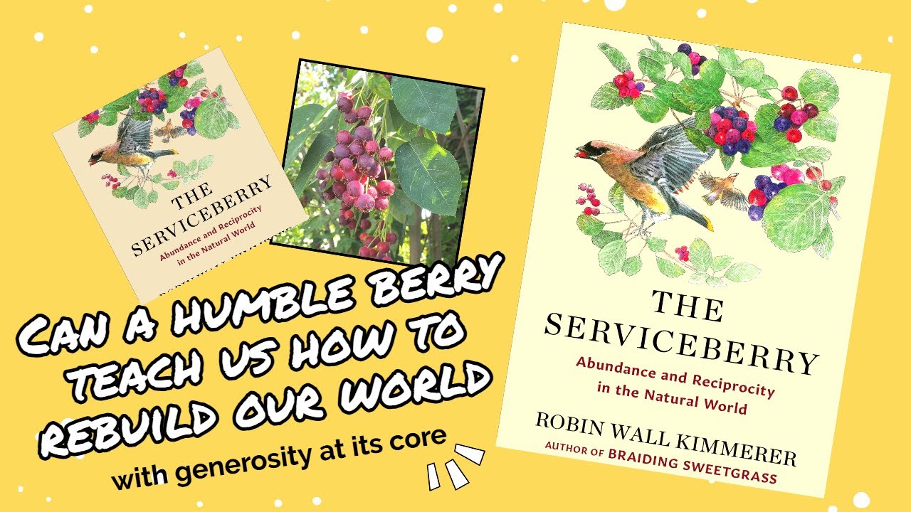 The Serviceberry Abundance and Reciprocity in the Natural World (Full Book Summary) |