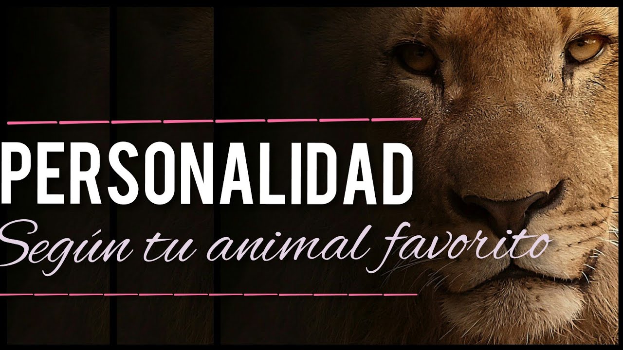 Personalidad Según tu Animal Favorito ➤ Psicología