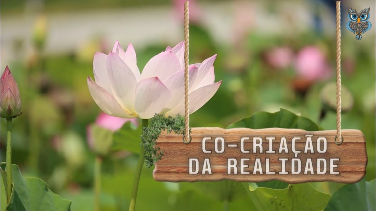 Resgate seu Poder Pessoal - 06 - Co-criação da realidade