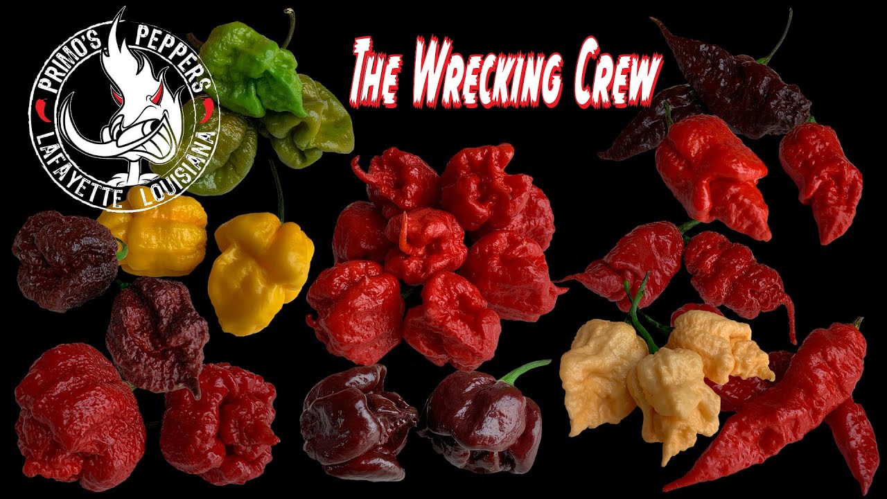 Troy Primo's Wrecking Crew Peppers