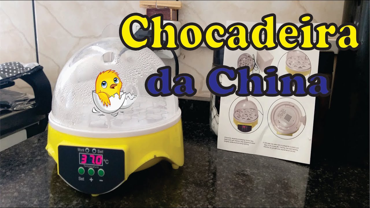 Comprei uma Chocadeira da China
