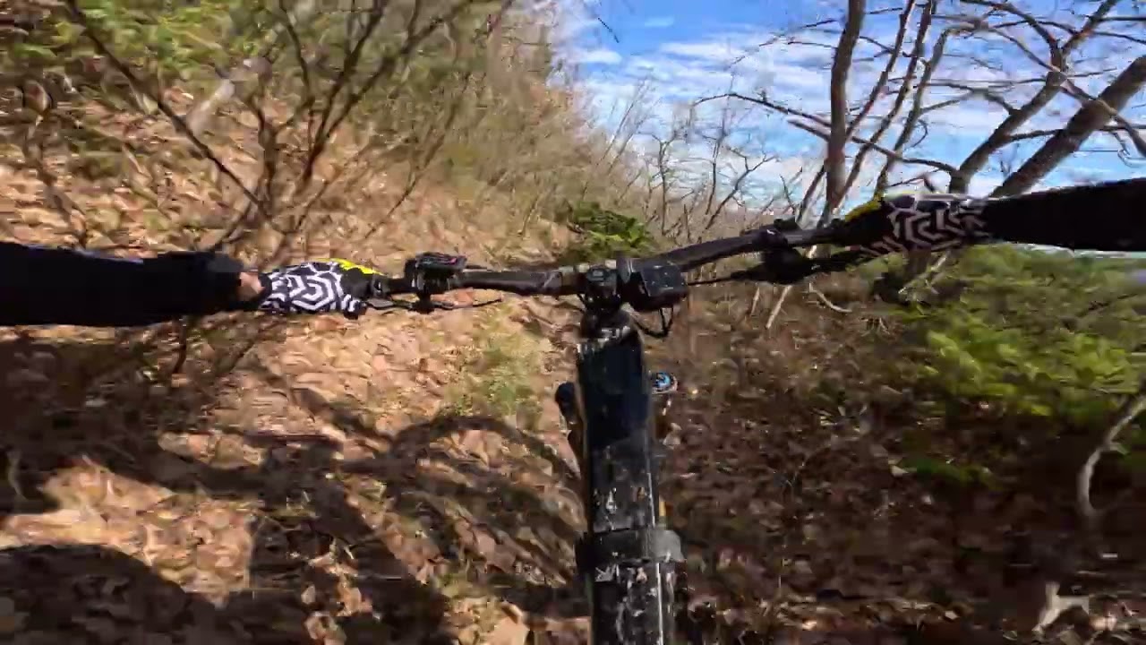 Chiodo trail - Monte Altaccio (Galeata)