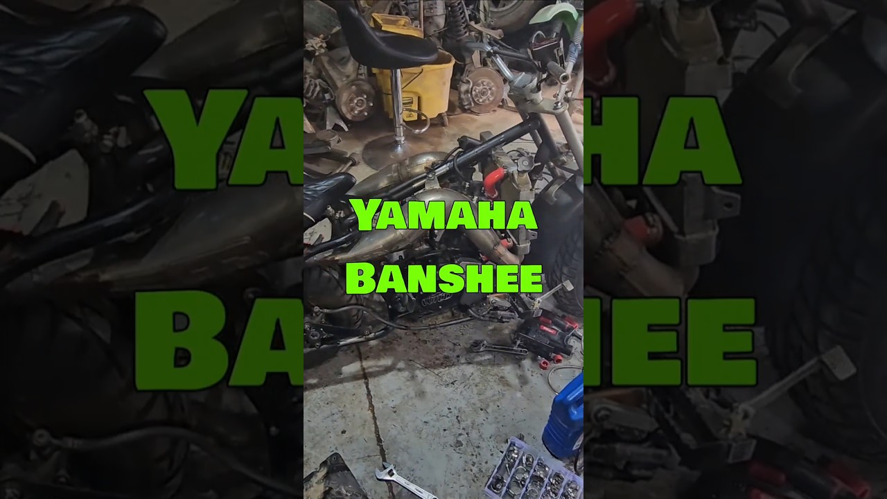 Мини-байк Yamaha Banshee: первый запуск! #минибайк #yamahabanshee #2stroke #веселье #stupidfastjohn