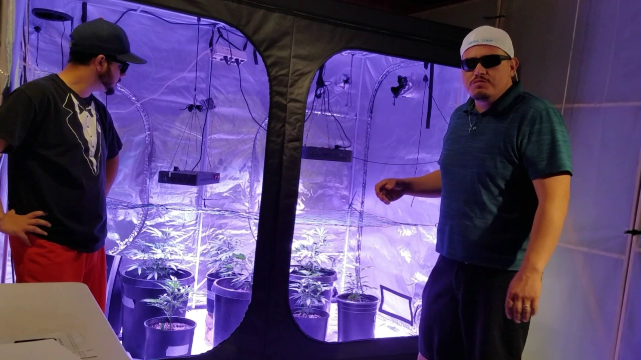 iPower Mylar 4x8 Grow Tent Review