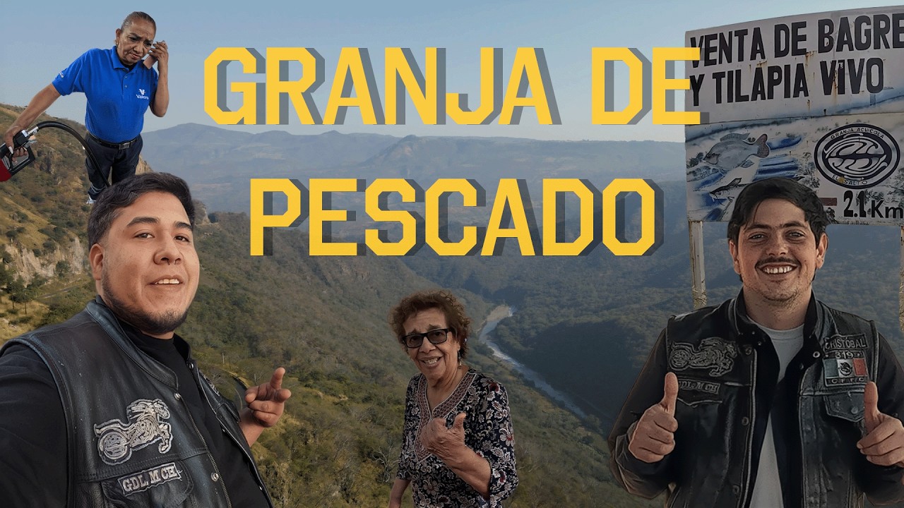 E2 PESCADITOS