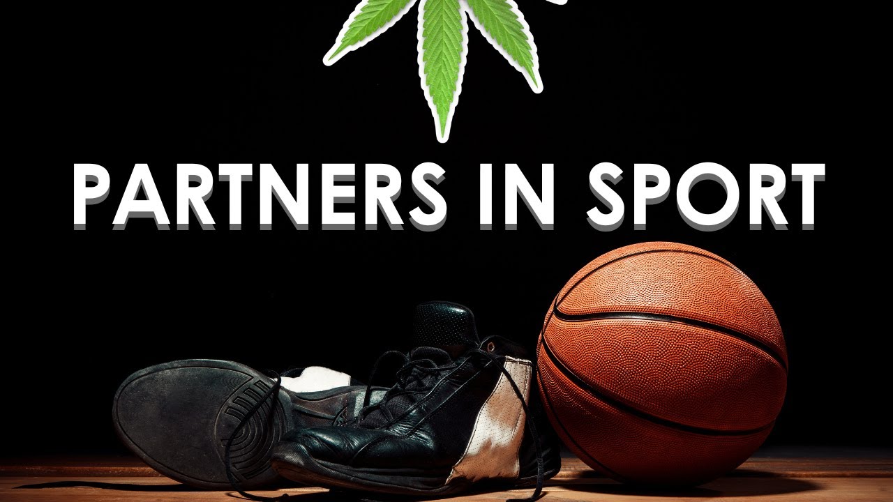 Hemp vs Basketball | 4K UHD