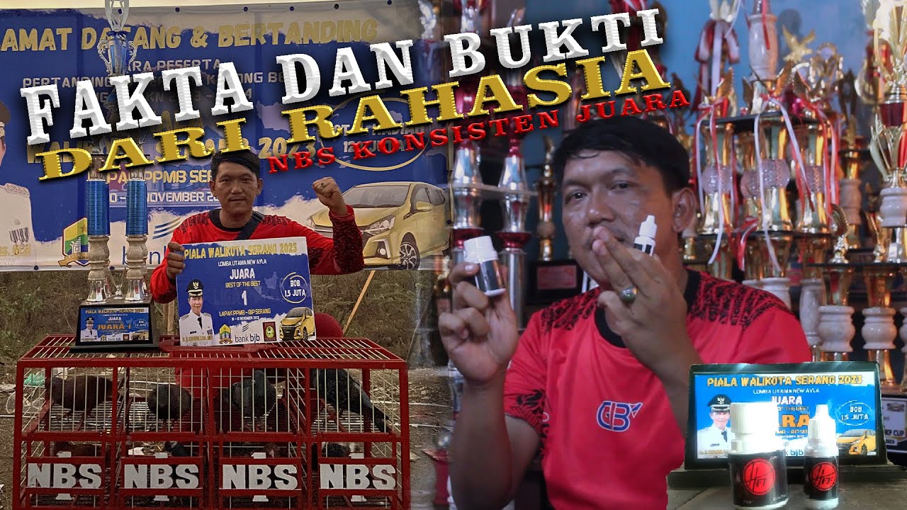 RAHASIA MERPATI TEAM ADIKANBS KONSISTEN JUARA SETIAP GIRINGAN DAN SETIAP NGAMEN!!! TIPS & TRIK.