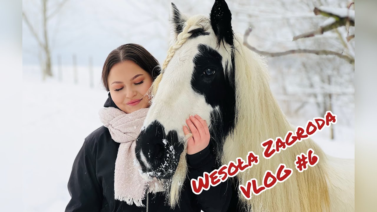 PRZEJECHALIŚMY DLA NIEJ PÓŁ POLSKI! 🐴❤️Wesoła Zagroda #vlog6