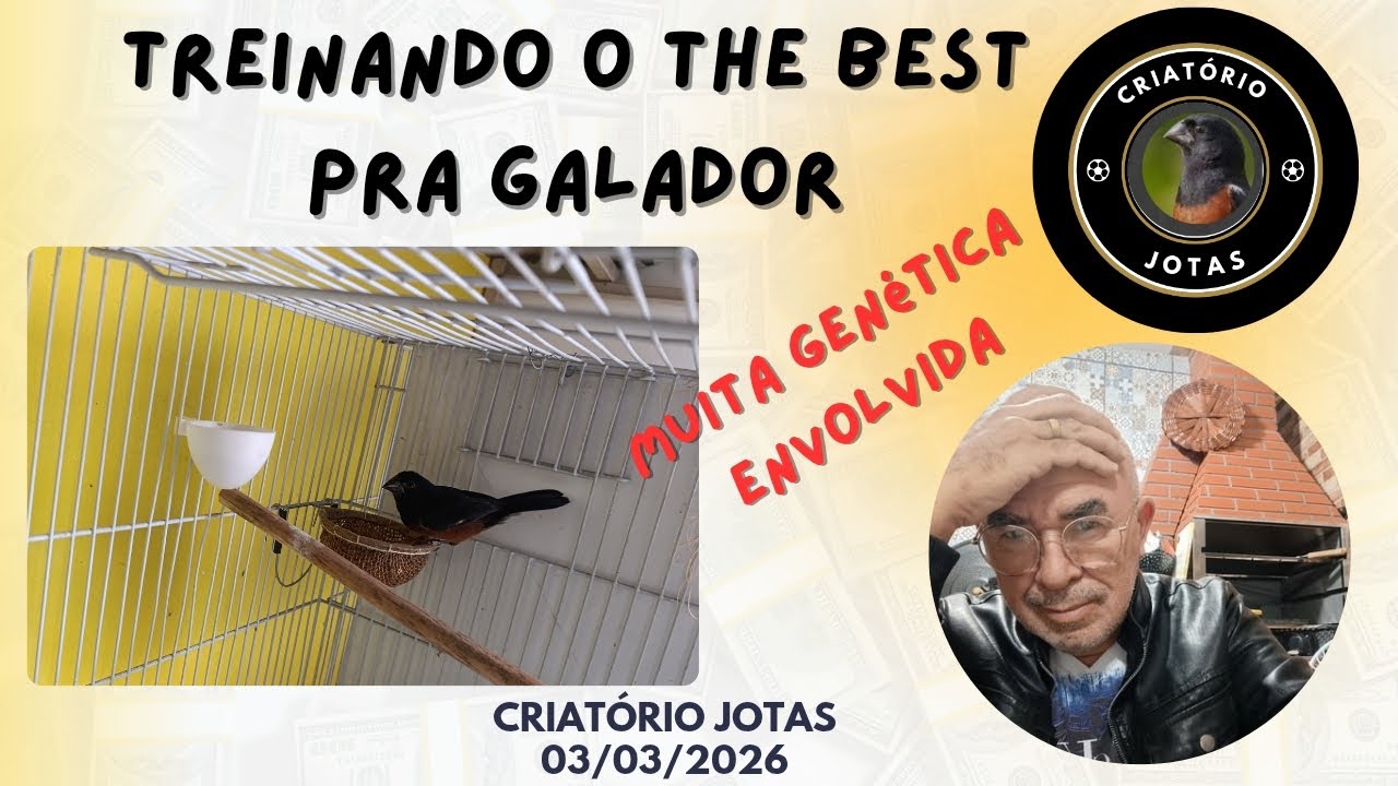 Fazendo do The Best Neto um Galador!
