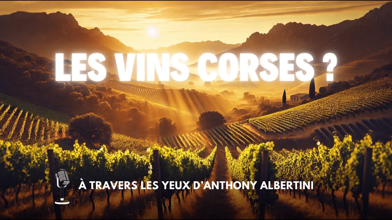 ANTHONY ALBERTINI - MEILLEUR SOMMELIER DE CORSE
