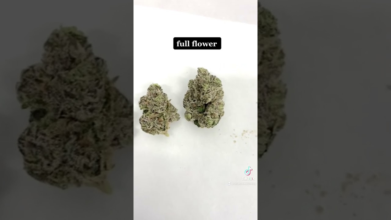 10 Pack - Infused Mini Craft Pre Rolls