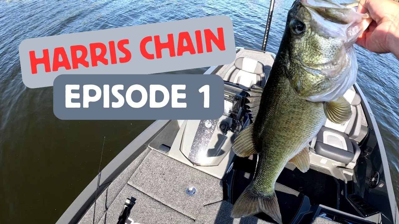 Learning How to Fish The Harris Chain - Episode 1