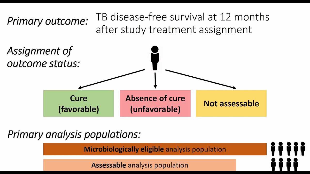 Considerations for the New Four-Month Rifapentine-Moxifloxacin Regimen for Drug-Susceptible TB
