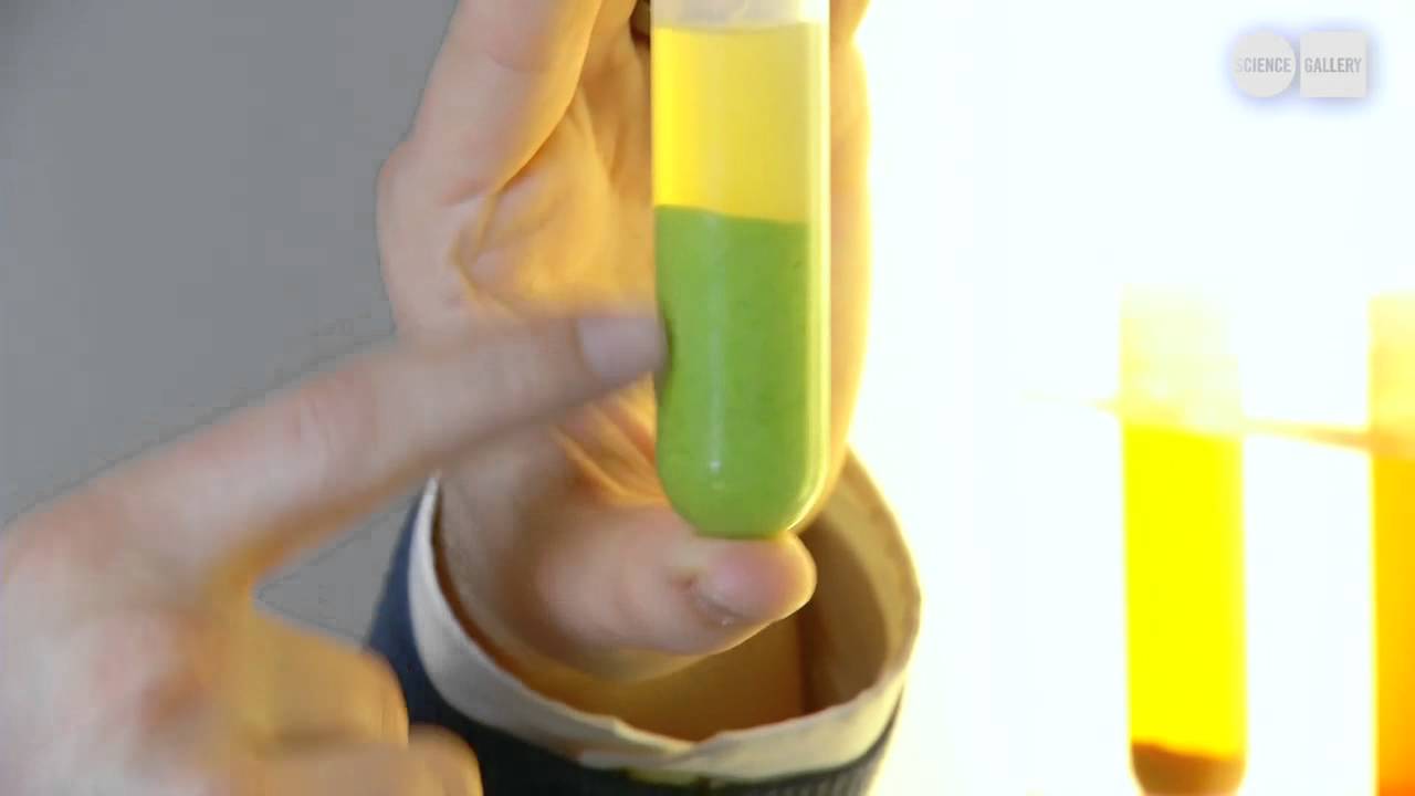 CENTRIFUGED FOOD at EDIBLE