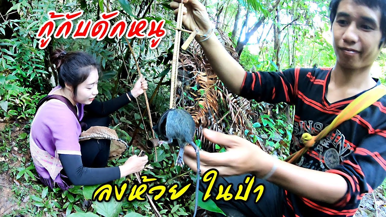 เที่ยวกินอยู่กับชาวกะเหรี่ยง #11 ขนย้ายสัมภาระกินมื้อเช้าไปดูผลงานดักหนูลงห้วยเข้าป่าหากุ้งกันต่อ