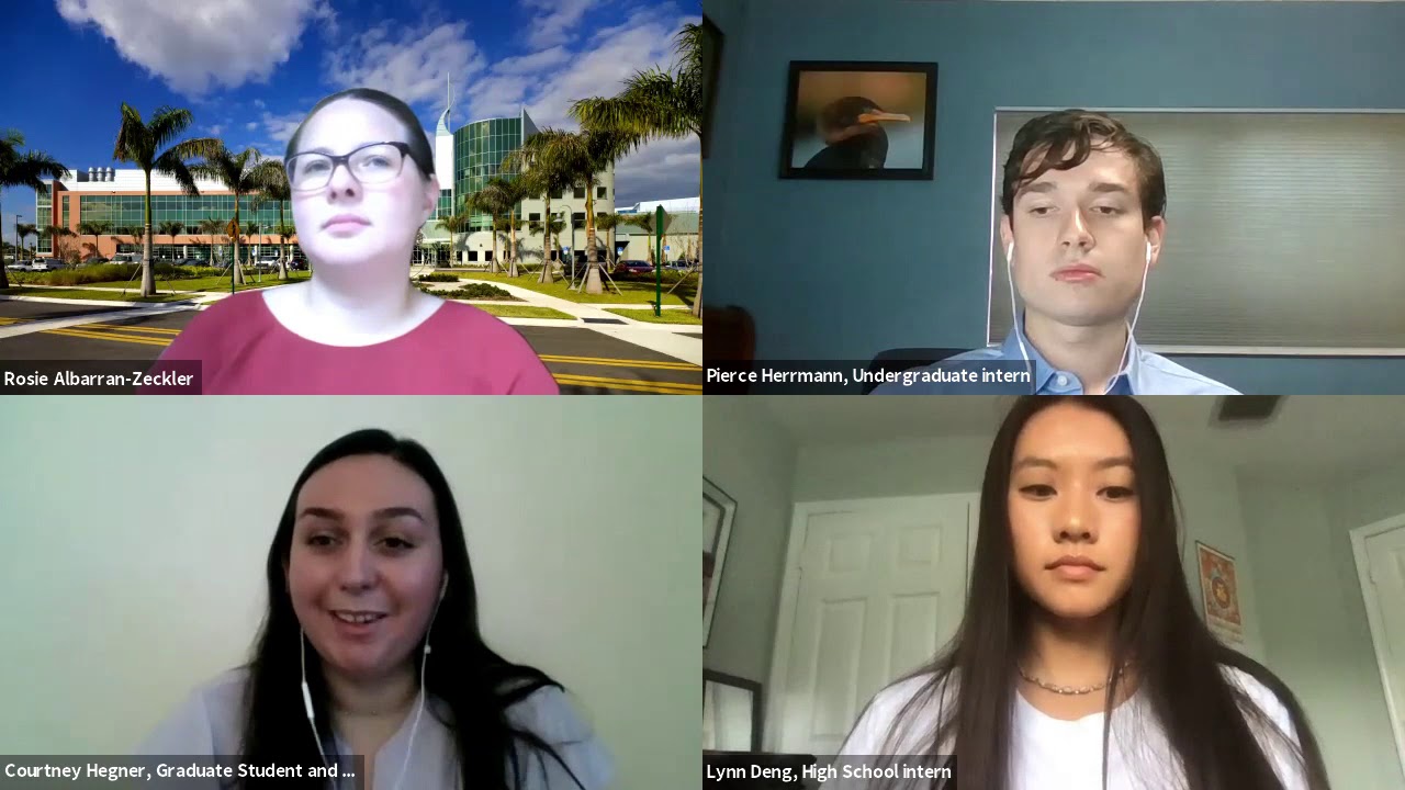 Scripps Research FIRST Webinars: "Internships in Research" (May 12, 2020)
