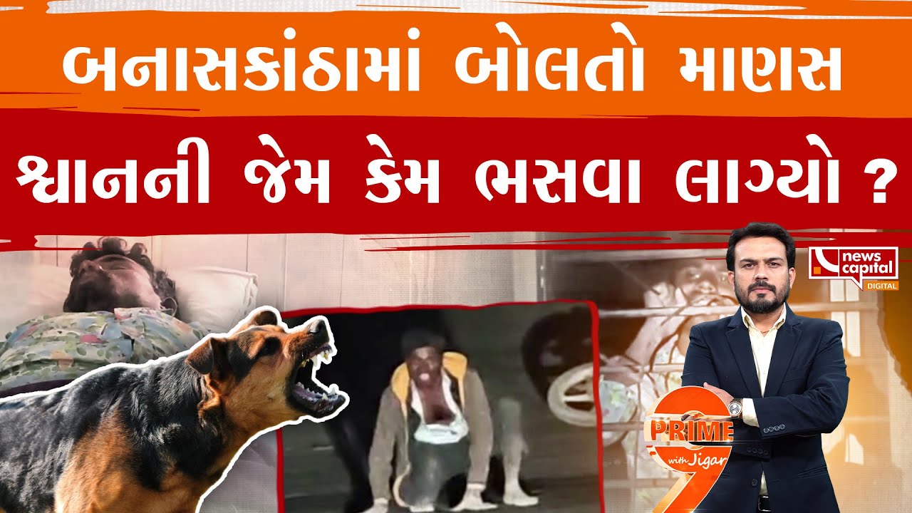 શ્વાન કરડતાં માણસ બન્યો હડકાયો, પછી શું થયું?