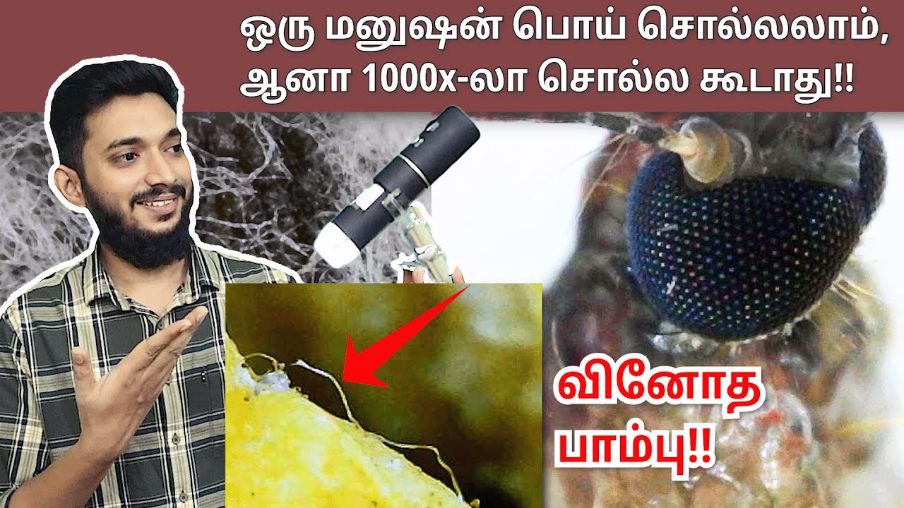 1000x Digital Microscope URUTTUGAL!! நம் கண்ணில் பட்ட வினோத பாம்பு!!