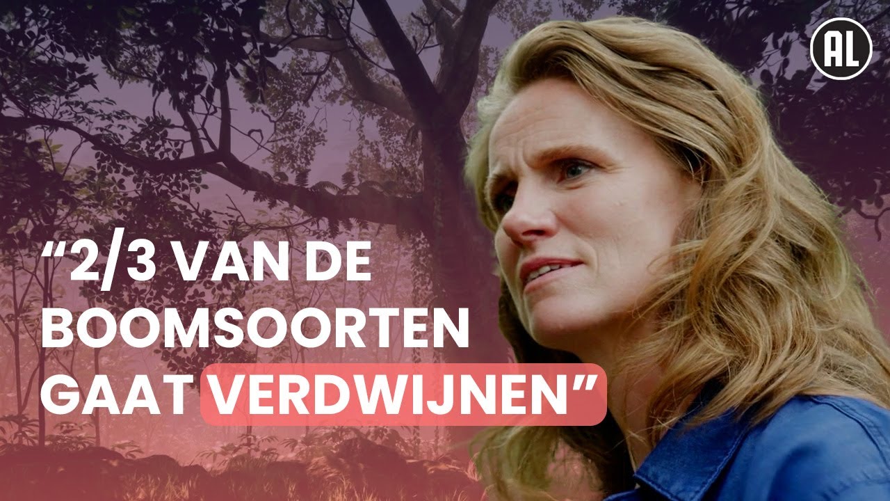 Wat droogte doet met onze natuur