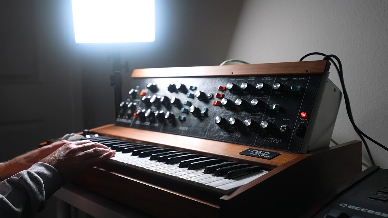 Minimoog Model D Instrumental Track