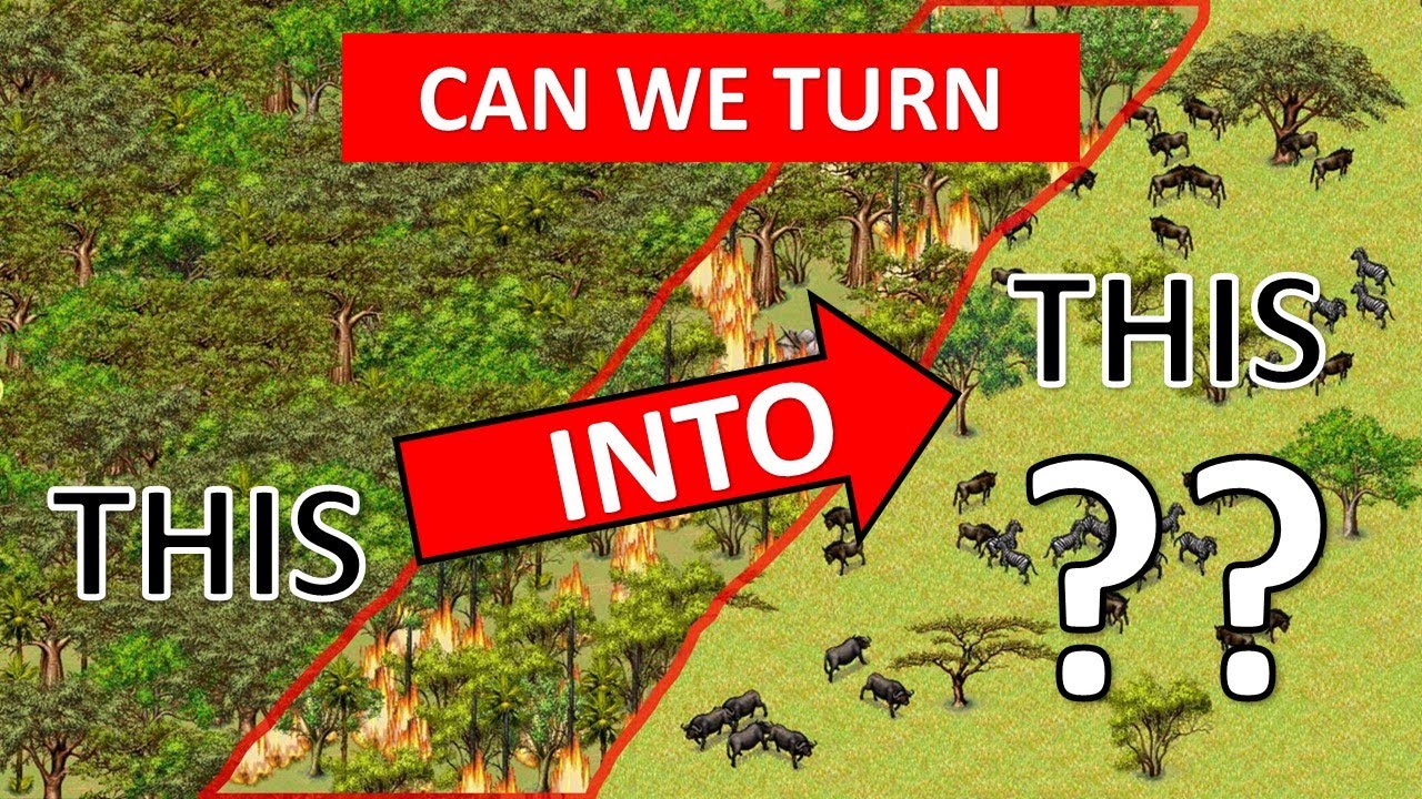 Burn, bushbaby, burn... A Pyromaniac Ecologist Plays SimSafari
