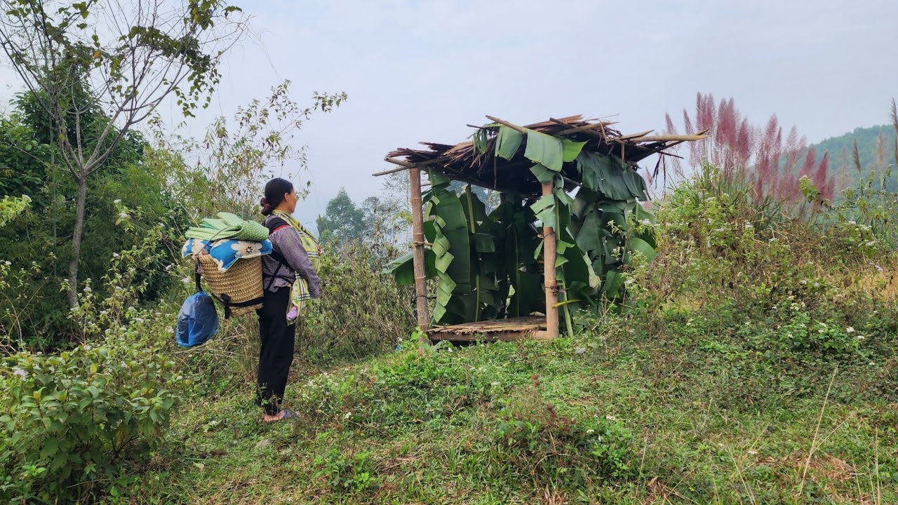 What happens when a single mother renovates an abandoned house after 20 years | L&yacute; Tiểu Sao
