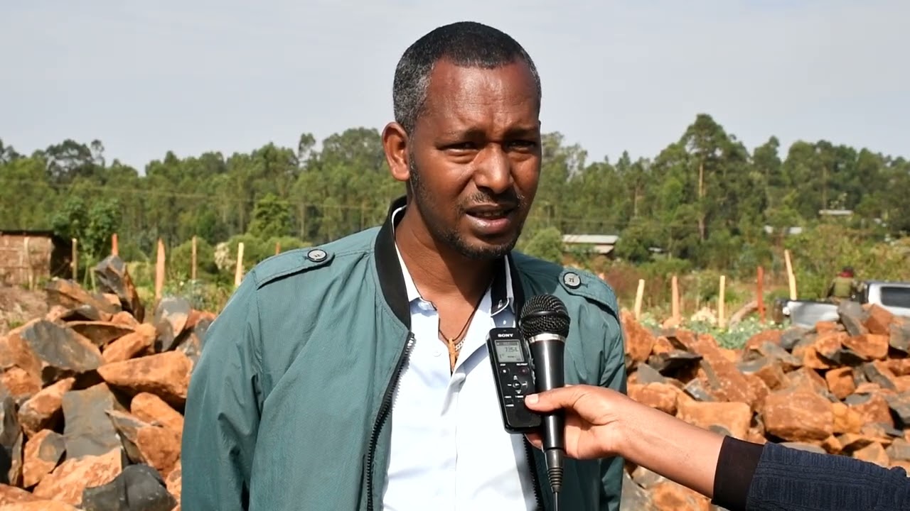 አልማ ፕሮጀክት እየተገነቡ ያሉ ልማቶች