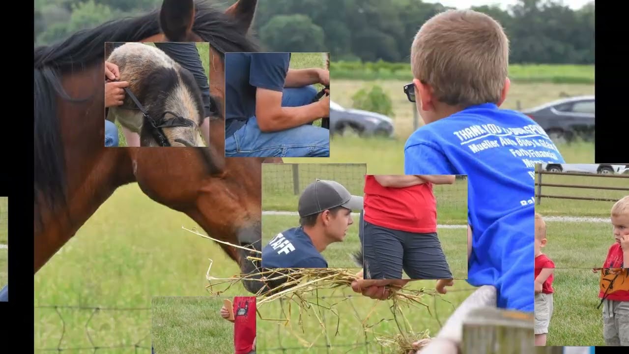 Be young again at The Farm at Prophetstown