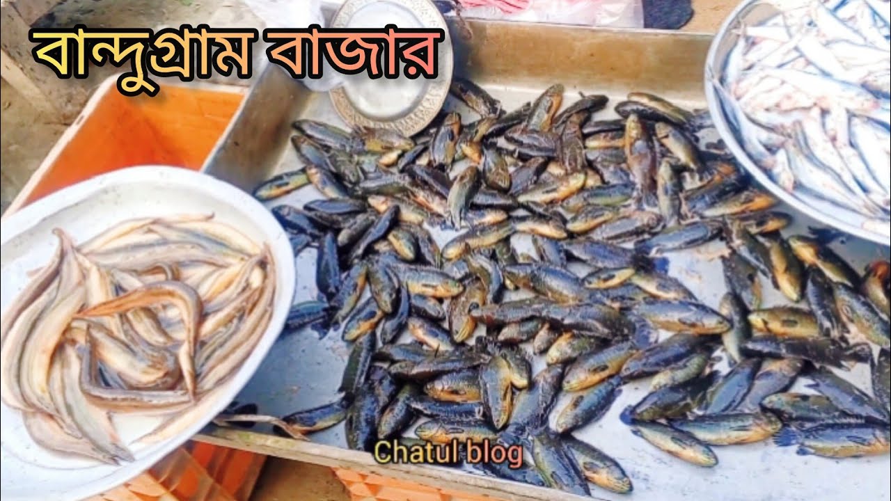ভোরের গ্রামীণ বাজার। winter village market. Chatul blog. Ali Ahmad