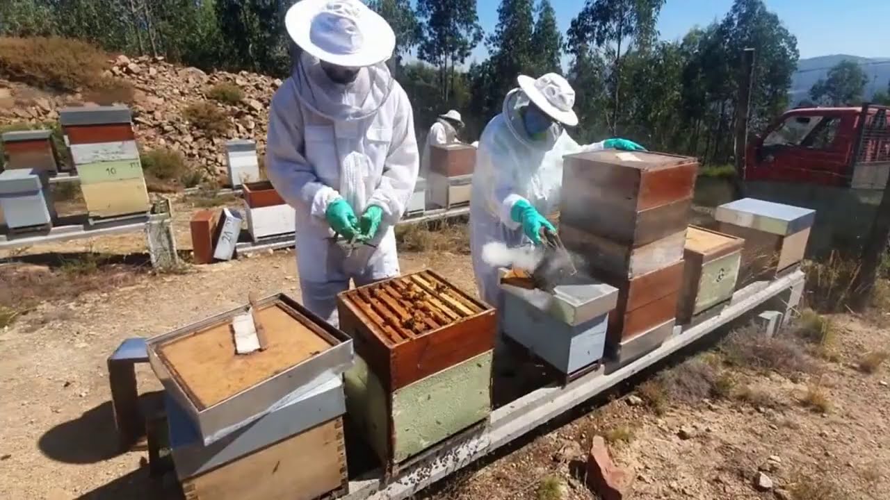 Formação Total2020 Cresta Douro Litoral