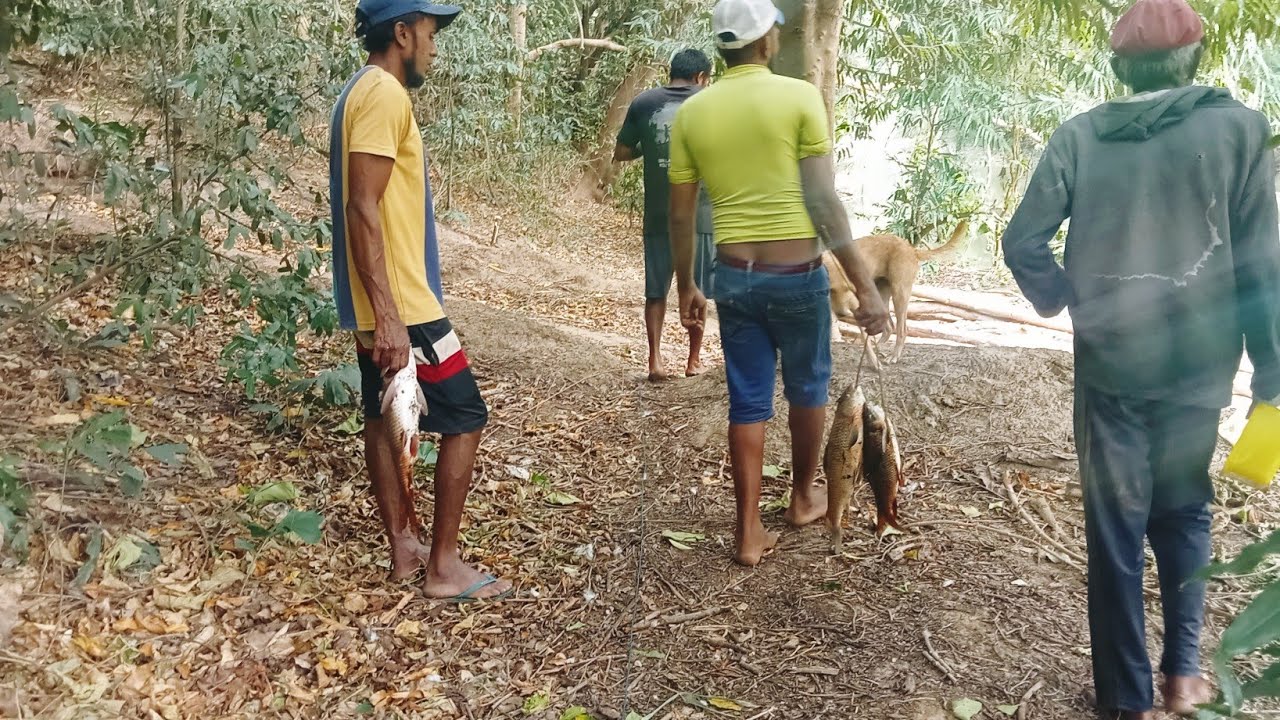 Wow! කිරිදි ඔයේ විසිදැලට අහුවුණු ලොකු රොහොව්වො