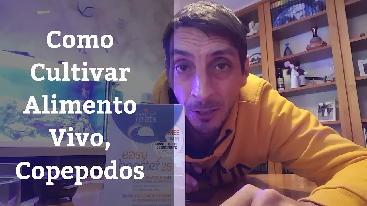 🔵 Como Cultivar Copépodos,Alimento Vivo Para Nuestros Peces (Acuarios MB)
